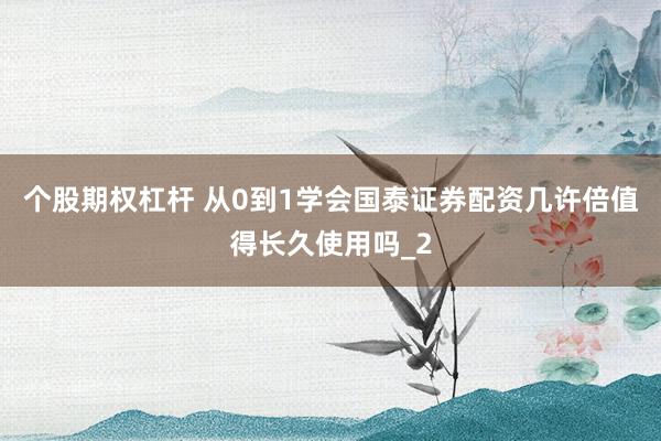 个股期权杠杆 从0到1学会国泰证券配资几许倍值得长久使用吗_2