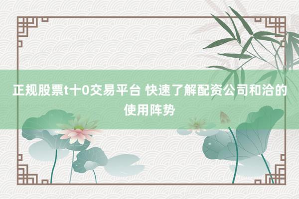 正规股票t十0交易平台 快速了解配资公司和洽的使用阵势