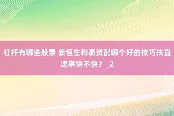 杠杆有哪些股票 新恒生和易资配哪个好的技巧扶直速率快不快？_2