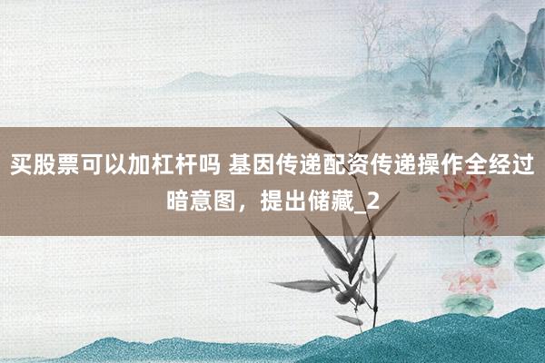 买股票可以加杠杆吗 基因传递配资传递操作全经过暗意图，提出储藏_2
