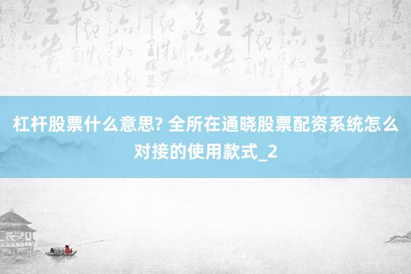 杠杆股票什么意思? 全所在通晓股票配资系统怎么对接的使用款式_2