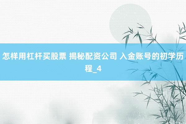 怎样用杠杆买股票 揭秘配资公司 入金账号的初学历程_4