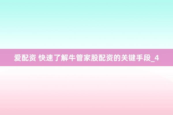爱配资 快速了解牛管家股配资的关键手段_4