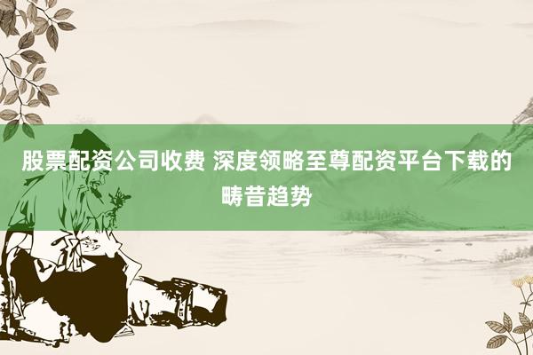 股票配资公司收费 深度领略至尊配资平台下载的畴昔趋势