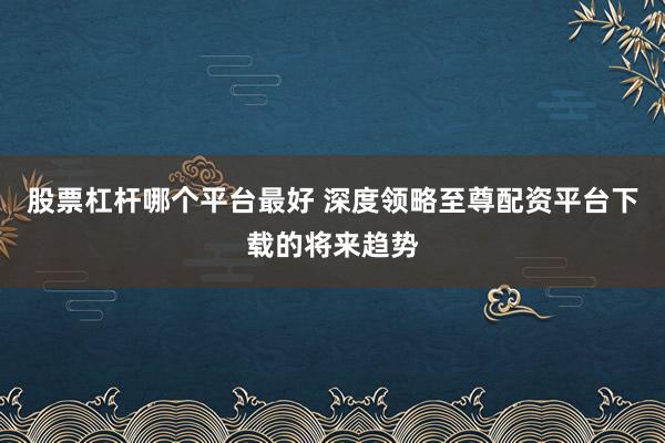股票杠杆哪个平台最好 深度领略至尊配资平台下载的将来趋势