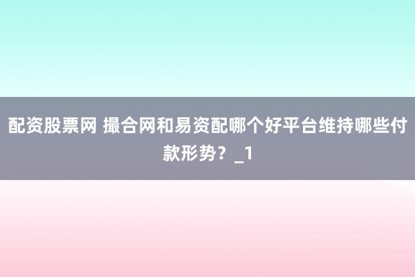 配资股票网 撮合网和易资配哪个好平台维持哪些付款形势？_1