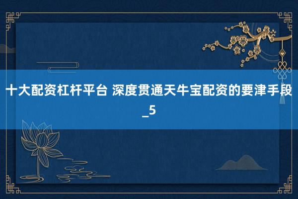 十大配资杠杆平台 深度贯通天牛宝配资的要津手段_5