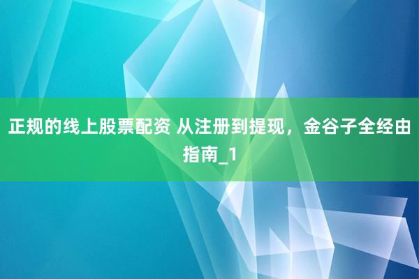 正规的线上股票配资 从注册到提现，金谷子全经由指南_1