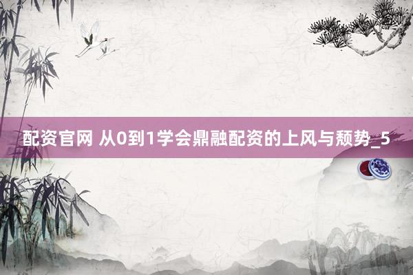 配资官网 从0到1学会鼎融配资的上风与颓势_5