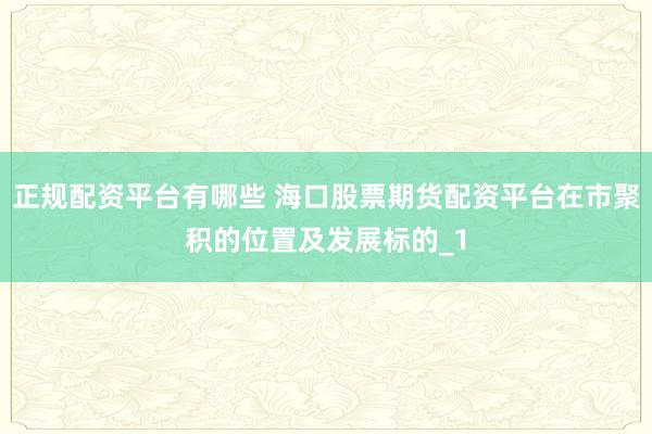 正规配资平台有哪些 海口股票期货配资平台在市聚积的位置及发展标的_1