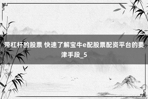 带杠杆的股票 快速了解宝牛e配股票配资平台的要津手段_5