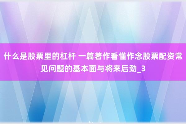 什么是股票里的杠杆 一篇著作看懂作念股票配资常见问题的基本面与将来后劲_3