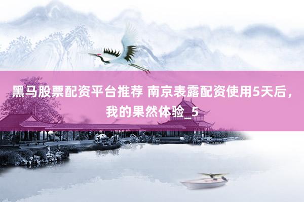 黑马股票配资平台推荐 南京表露配资使用5天后，我的果然体验_5